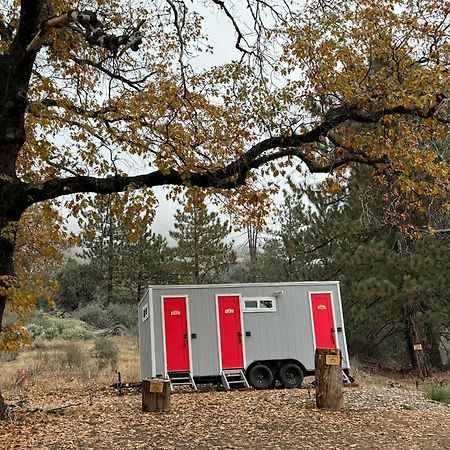 Enchanted Forest Dome ,10-15 Minutes To Kings Canyons-New Pellet Stove For Cozy Warm Nights Dunlap Екстер'єр фото