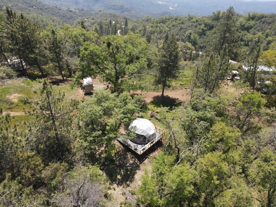 Enchanted Forest Dome ,10-15 Minutes To Kings Canyons-New Pellet Stove For Cozy Warm Nights Dunlap Екстер'єр фото